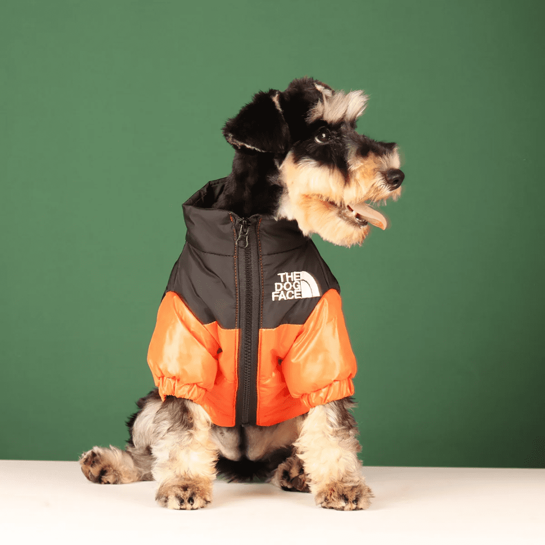 Casaco Corta Vento para Pet Forglows