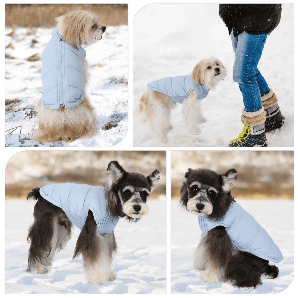 Casaco Puffer Impermeável para Pet Forglows