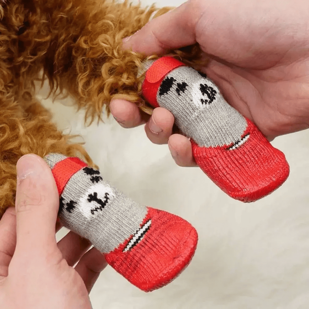 Sapato para Pet Impermeável Forglows