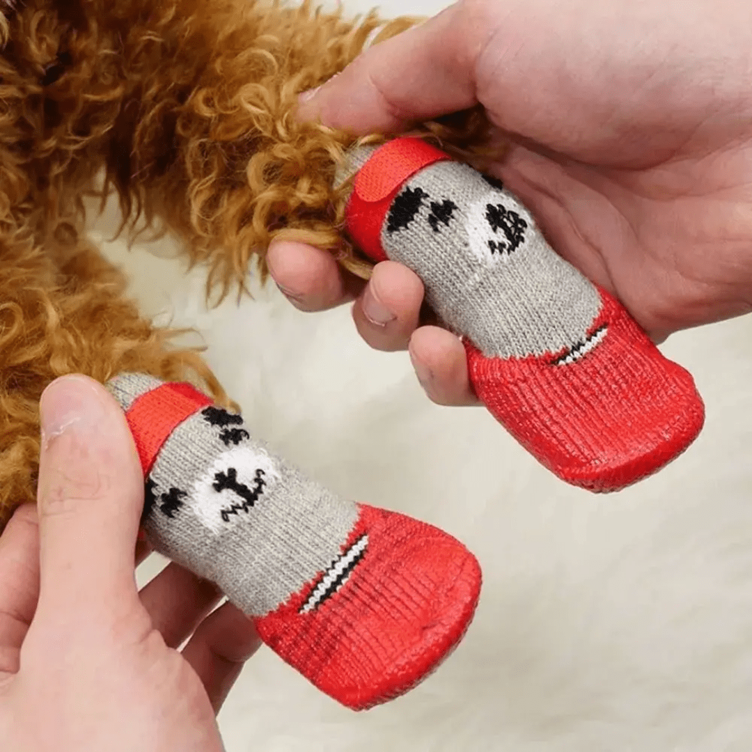 Sapato para Pet Impermeável Forglows