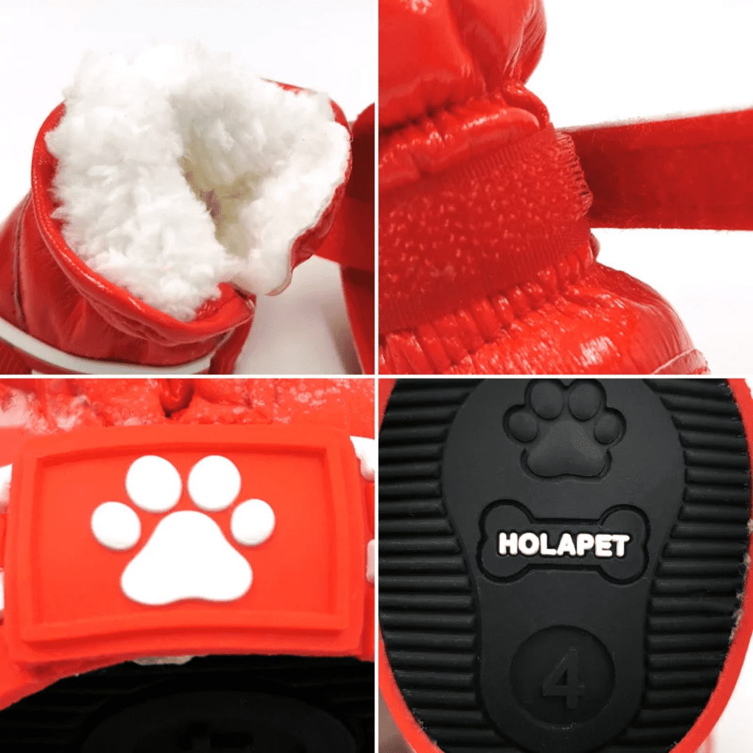 Tênis para Pet Impermeável com Pelúcia Forglows