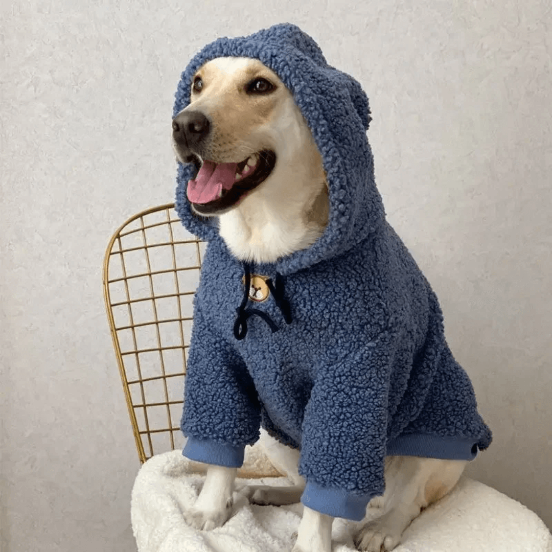 Moletom Pet Com Capuz de Lã Forglows