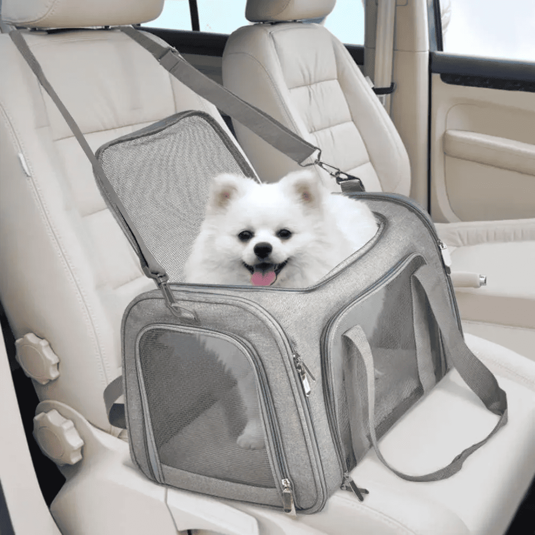 Bolsa de Transporte para Cães e Gatos Forglows
