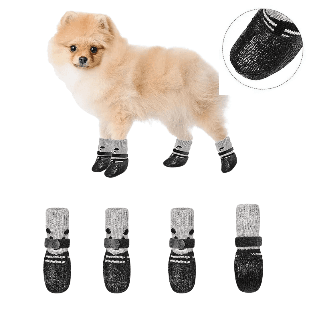 Sapato para Pet Impermeável Forglows