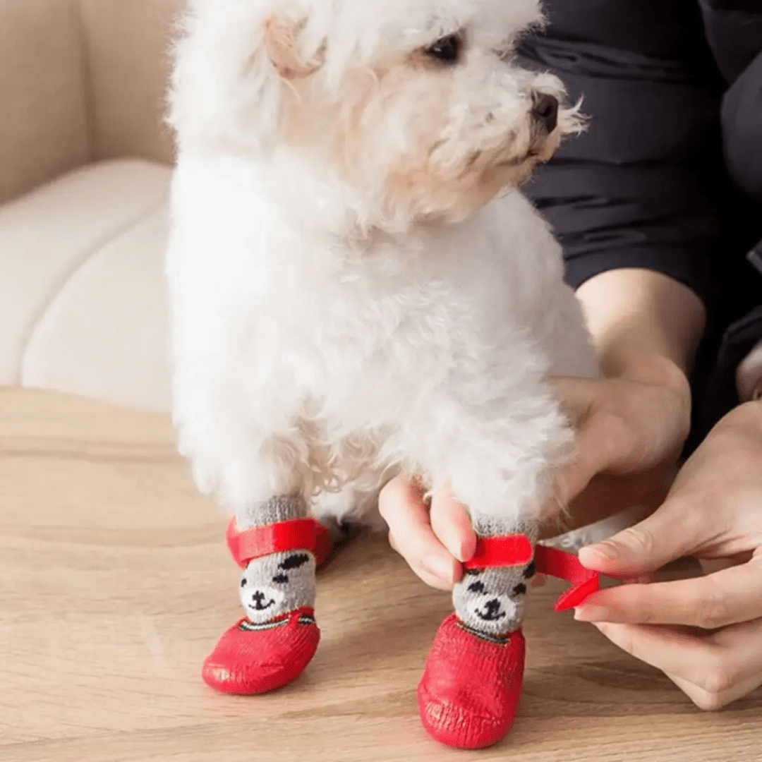 Sapato para Pet Impermeável Forglows