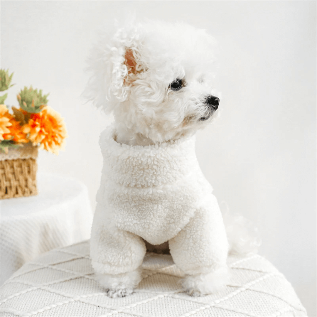 Roupa para Pet Peluciada ABC Forglows