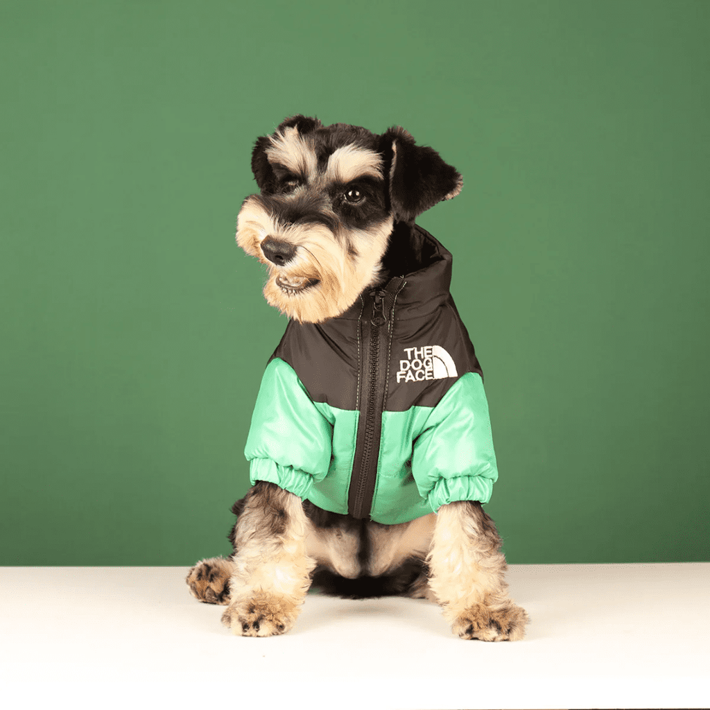 Casaco Corta Vento para Pet Forglows