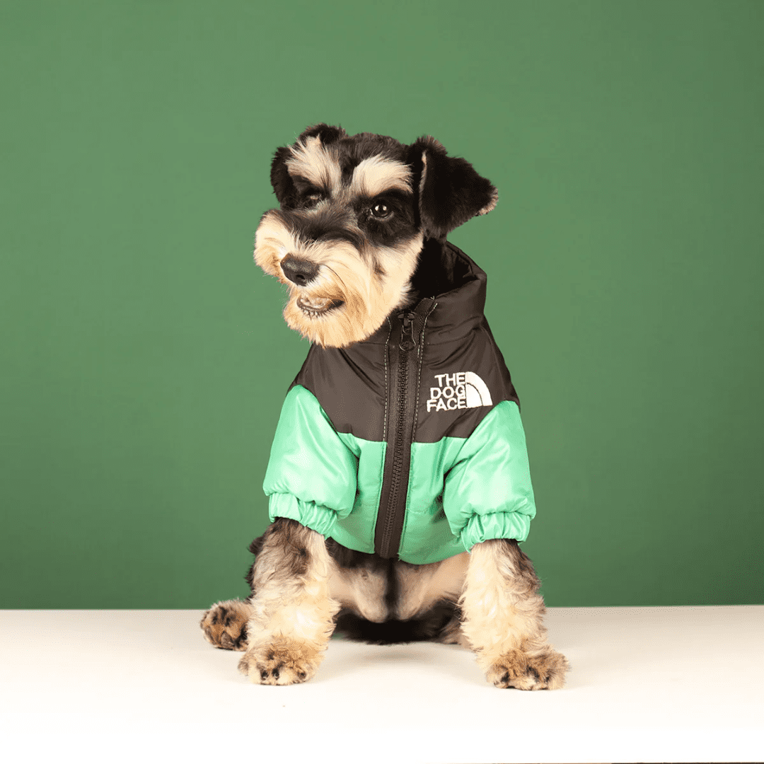 Casaco Corta Vento para Pet Forglows